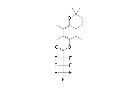 2,2,5,7,8-Pentamethyl-6-hydroxychroman, o-heptafluorobutyryl-