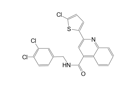 2-(5-chloro-2-thienyl)-N-(3,4-dichlorobenzyl)-4-quinolinecarboxamide