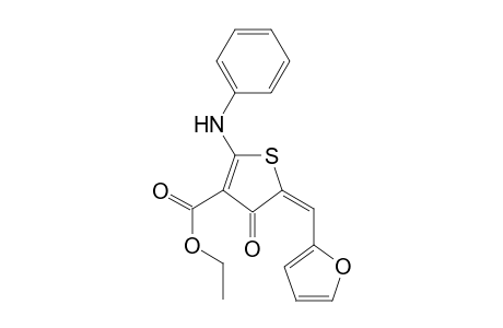 Ethyl (5E)-2-anilino-5-(2-furylmethylene)-4-oxo-4,5-dihydro-3-thiophenecarboxylate