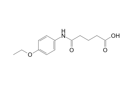 4'-ethoxyglutaranilic acid