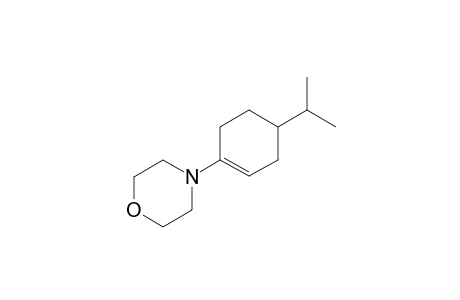 (+/-)-1- (N-morpholino)-4-isopropyicyclohexene