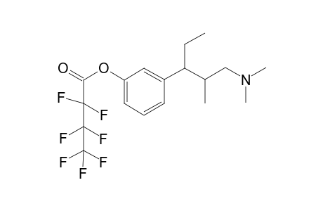 Tapentadol HFB