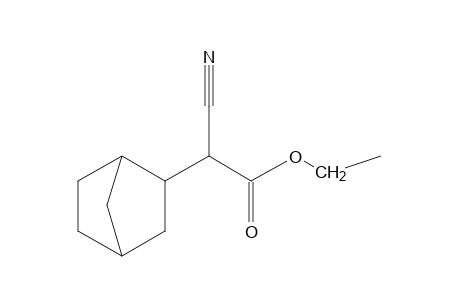 2-NORBORNANEACETIC ACID, A-CYANO-, ETHYL ESTER