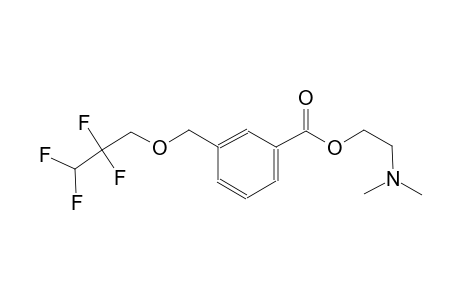 2-(dimethylamino)ethyl 3-[(2,2,3,3-tetrafluoropropoxy)methyl]benzoate