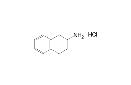 1,2,3,4-Tetrahydro-2-naphthylamine, hydrochloride