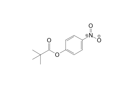 pivalic acid, p-nitrophenyl ester