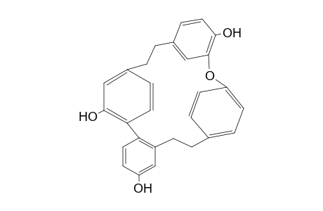 Riccardin C