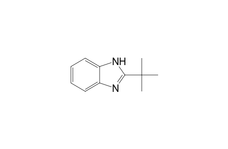 2-tert-BUTYLBENZIMIDAZOLE