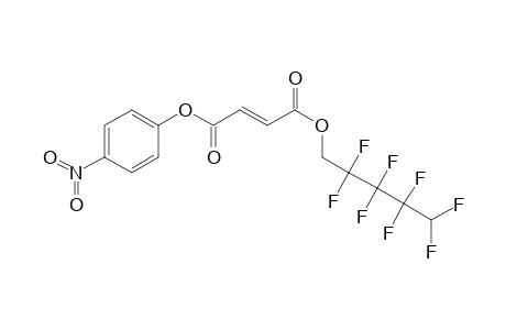 Fumaric acid, 4-nitrophenyl 2,2,3,3,4,4,5,5-octafluoropentyl ester