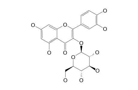 Isoquercitrin