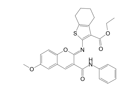 ethyl 2-{[(2Z)-3-(anilinocarbonyl)-6-methoxy-2H-chromen-2-ylidene]amino}-4,5,6,7-tetrahydro-1-benzothiophene-3-carboxylate