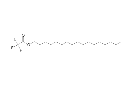 Heptadecyl trifluoroacetate