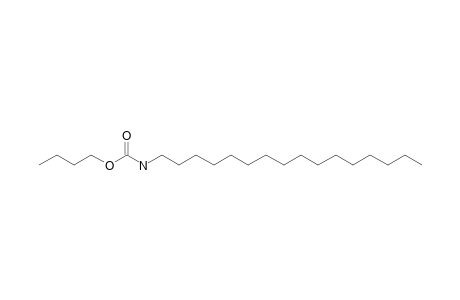 Carbonic acid, monoamide, N-hexadecyl-, butyl ester