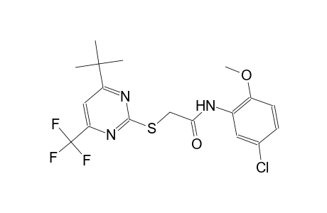 2-{[4-tert-butyl-6-(trifluoromethyl)-2-pyrimidinyl]sulfanyl}-N-(5-chloro-2-methoxyphenyl)acetamide