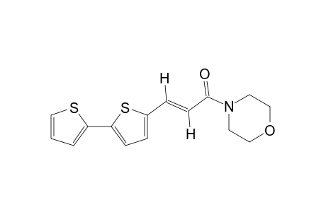 trans-4-{3-[5-(2-thienyl)-2-thienyl]acryloyl}morpholine