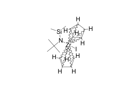 CP(2)ZR(I)(N(T)BUSIME(2)H)