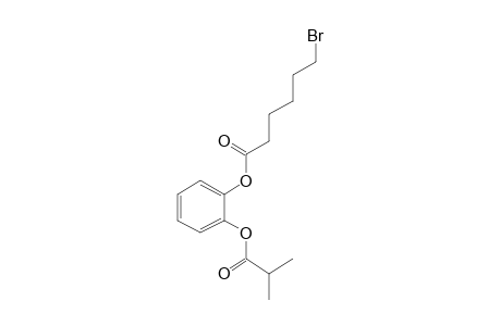 1,2-Benzenediol, o-(6-bromohexanoyl)-o'-(isobutyryl)-