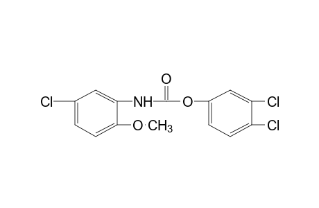 5-chloro-2-methoxycarbanilic acid, 3,4-dichlorophenyl ester