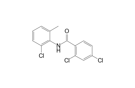 2,4,6'-trichloro-o-benzotoluidide