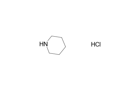 Piperidine hydrochloride