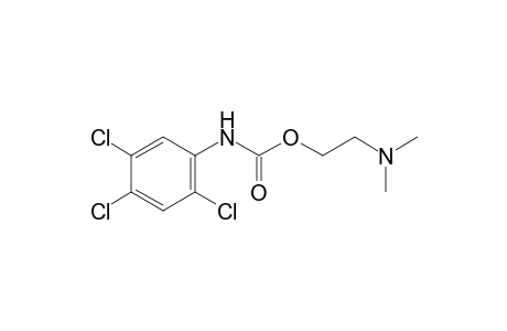 2,4,5-trichlorocarbanilic acid, 2-(dimethylamino)ethyl ester