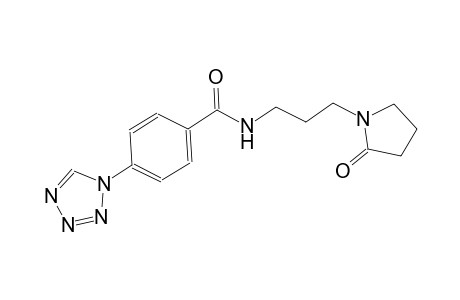 N-[3-(2-oxo-1-pyrrolidinyl)propyl]-4-(1H-tetraazol-1-yl)benzamide