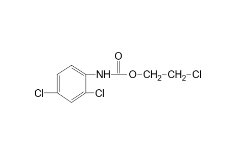 2,4-dichlorocarbanilic acid, 2-chloroethyl ester