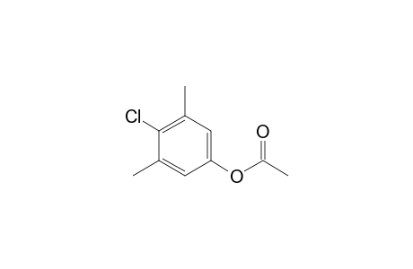 (4-chloranyl-3,5-dimethyl-phenyl) ethanoate