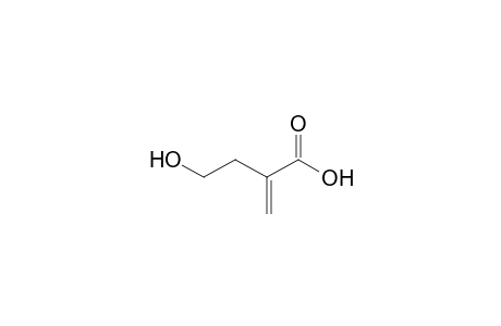 Butanoic acid, 4-hydroxy-2-methylene-