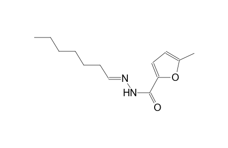 N'-[(E)-heptylidene]-5-methyl-2-furohydrazide