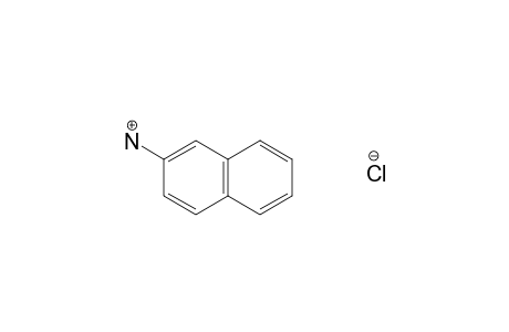 2-naphthylamine, hydrochloride