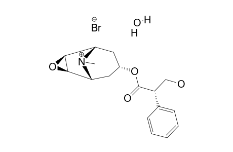 Scopolamine HBr monohydrate