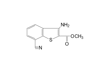 3-amino-7-cyanobenzo[b]thiophene-2-carboxylic acid, methyl ester
