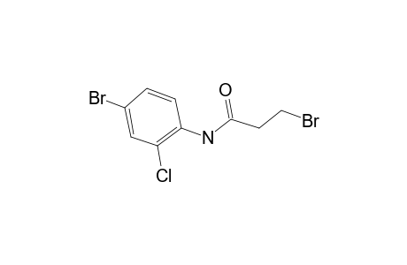 Propanamide, 3-bromo-N-(4-bromo-2-chlorophenyl)-