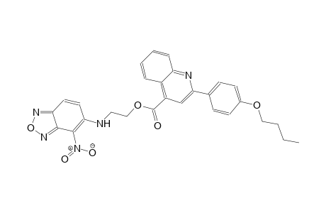 2-[(4-nitro-2,1,3-benzoxadiazol-5-yl)amino]ethyl 2-(4-butoxyphenyl)-4-quinolinecarboxylate