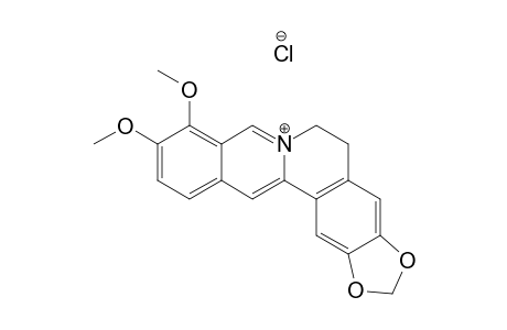 Berberine chloride