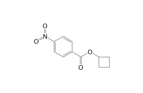 4-Nitrobenzoic acid, cyclobutyl ester