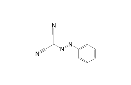 2-(Phenyldiazenyl)malononitrile