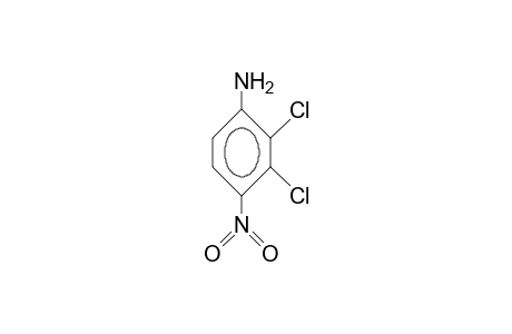 2,3-Dichloro-4-nitro-aniline