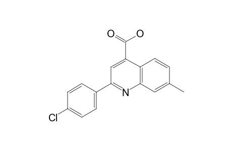 2-(p-chlorophenyl)-7-methylcinchoninic acid