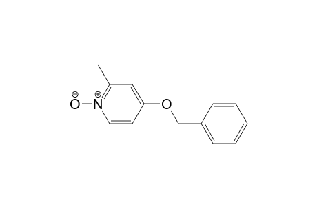 4-Benzyloxy-2-methylpyridine 1-oxide