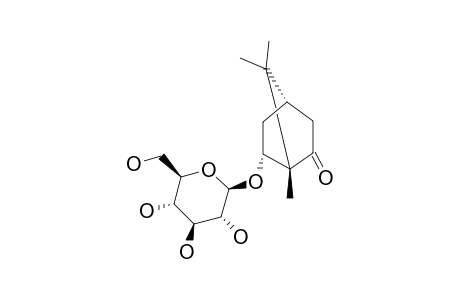(1S,4R,6R)-6-HYDROXYCAMPHOR-BETA-D-GLUCOPYRANOSIDE
