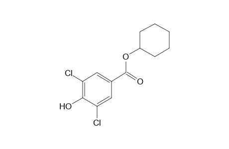 3,5-dichloro-4-hydroxybenzoic acid, cyclohexyl ester