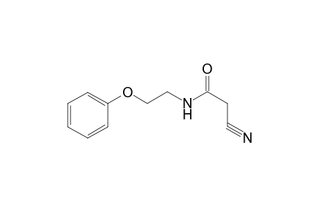 2-Cyano-N-(2-phenoxyethyl)acetamide