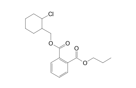 Phthalic acid, (2-chlorocyclohexyl)methyl propyl ester