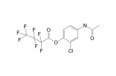 mCPP-M HFB                    @