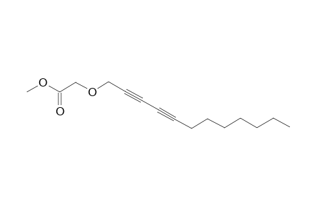 METHYL-MONTIPORATE-A;METHYL-2-O-(DODECANE-2,4-DIYNYL)-2-HYDROXY-ETHANOATE