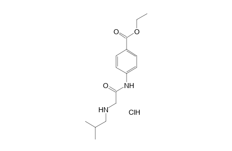 p-[(2-isobutylamino)acetamido]benzoic acid, ethyl ester, hydrochloride