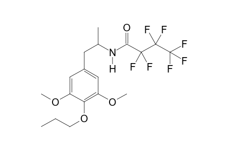 3C-P HFB