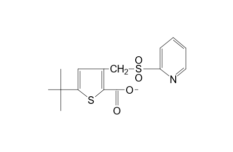 5-tert-butyl-3-{[(2-pyridyl)sulfonyl]methyl}-2-thiophenecarboxylic acid, methyl ester